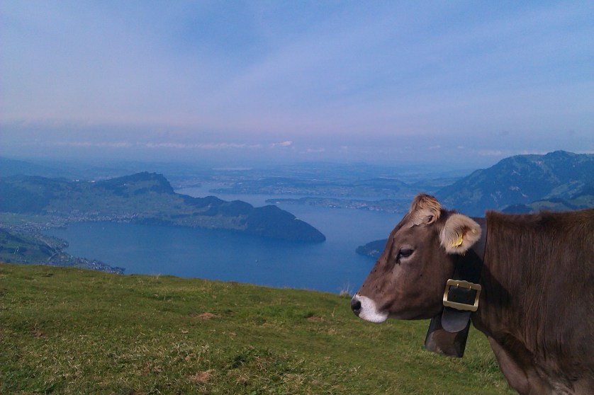 Vierwaldstätter See