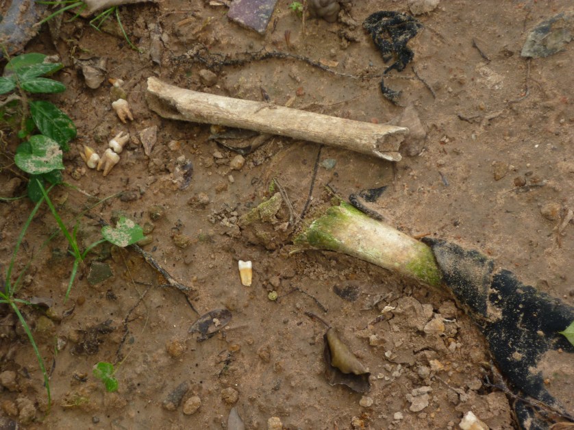 Killing Field Choeung Ek, Phnom Penh