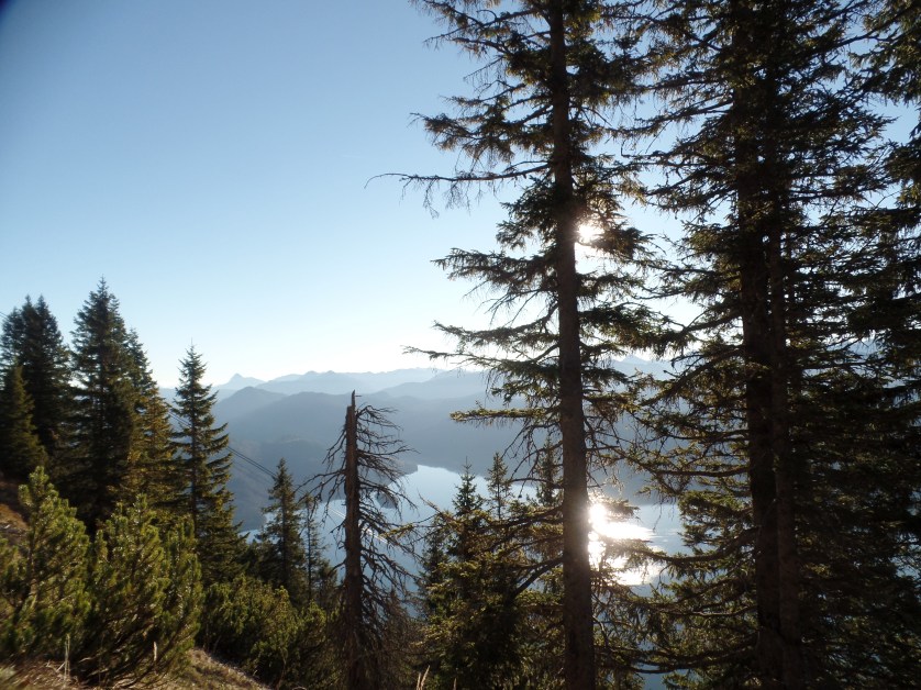 Herzogstand, Heimgarten, Bayern, Deutschland