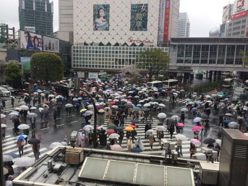 Shibuya, Kreuzung, Tokio